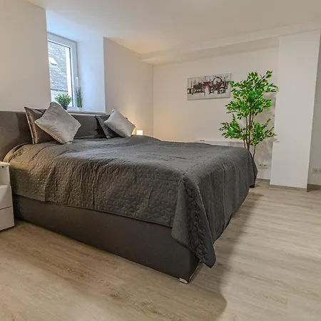 Fewomo Stilvolles Eg Appartment, Brauneberg, 4 Pers, Boots Slipanlage, Moselradweg, Seniorengerecht 브라운버그