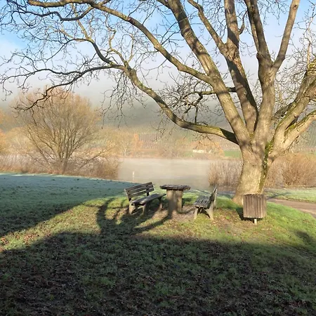 Fewomo Stilvolles Eg Appartment, Brauneberg, 4 Pers, Boots Slipanlage, Moselradweg, Seniorengerecht Brauneberg