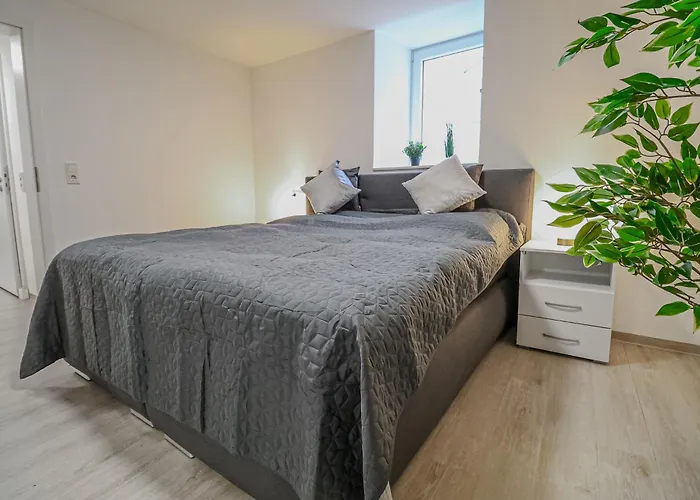 公寓 Fewomo Stilvolles Eg Appartment, Brauneberg, 4 Pers, Boots Slipanlage, Moselradweg, Seniorengerecht 布劳讷贝格