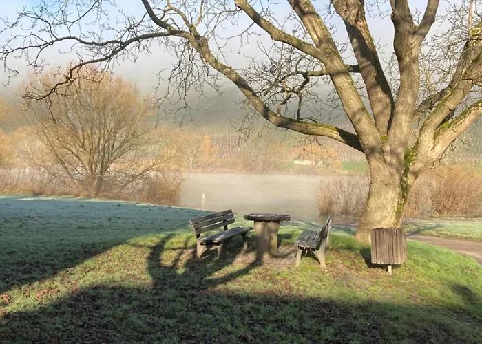 Fewomo Stilvolles Eg Appartment, Brauneberg, 4 Pers, Boots Slipanlage, Moselradweg, Seniorengerecht 布劳讷贝格