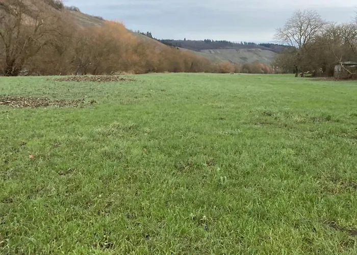 Fewomo Stilvolles Eg Appartment, Brauneberg, 4 Pers, Boots Slipanlage, Moselradweg, Seniorengerecht 公寓